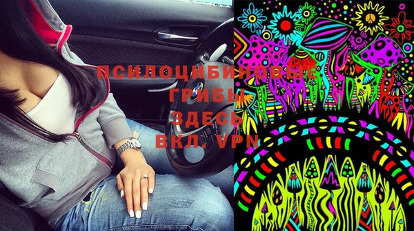винт Михайлов