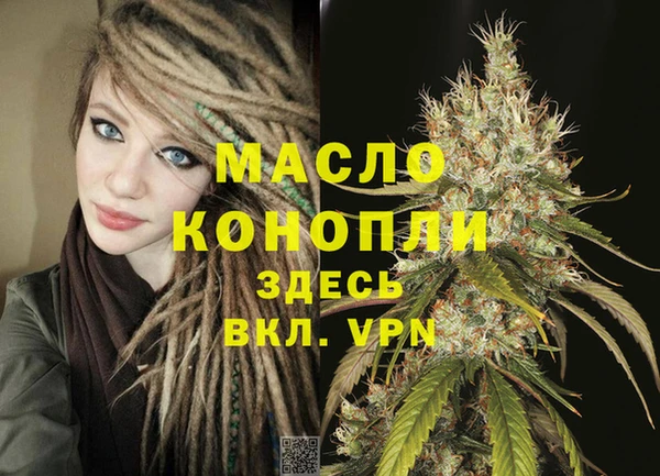 индика Михайловка