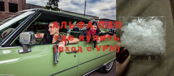 индика Михайловка