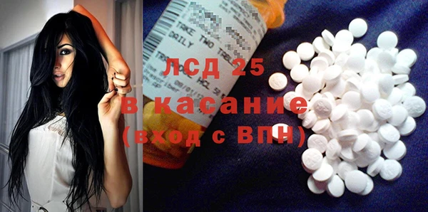 индика Михайловка