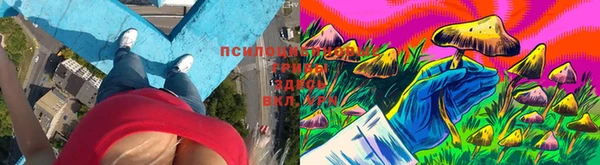 винт Михайлов