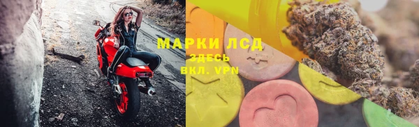индика Михайловка