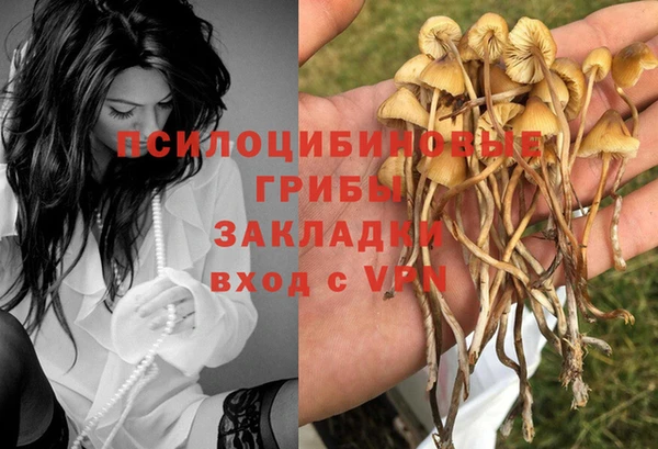 кокс Михайловск