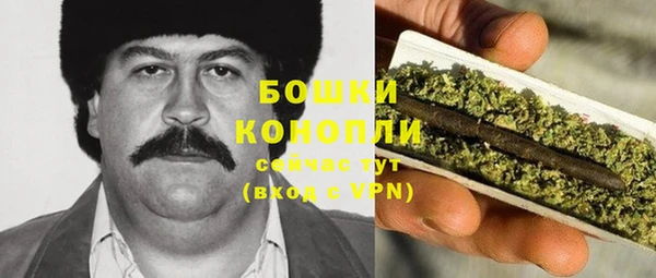индика Михайловка
