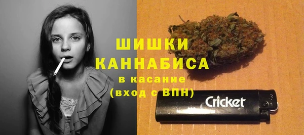 метадон Туринск