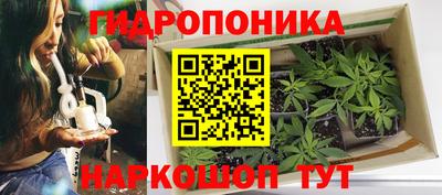 эйфоретик Новодвинск