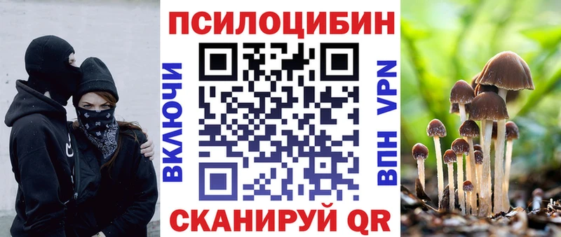 продажа наркотиков  Отрадное  Галлюциногенные грибы Psilocybe 