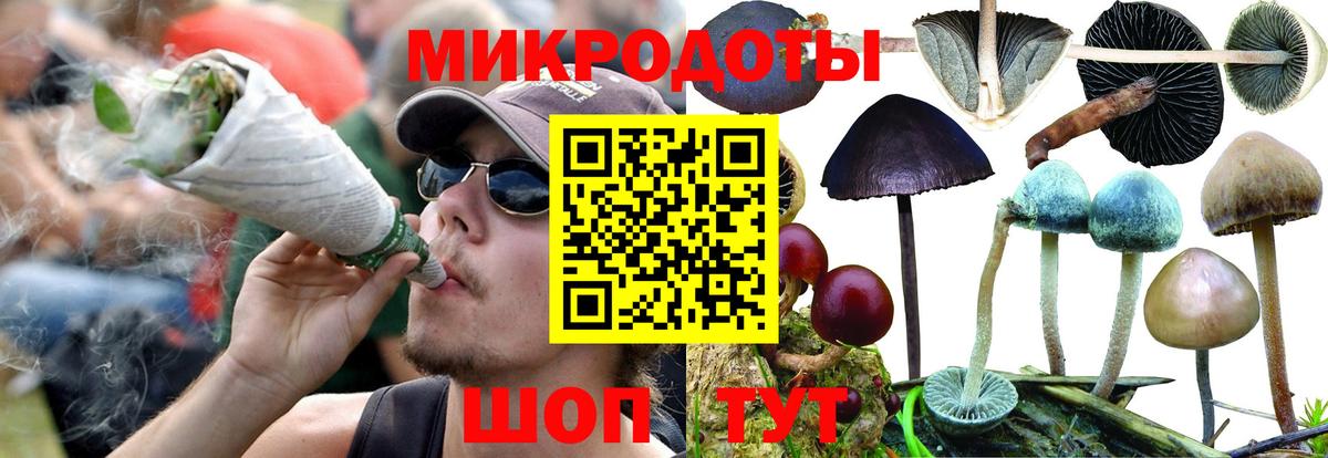 Псилоцибиновые грибы мицелий Отрадное
