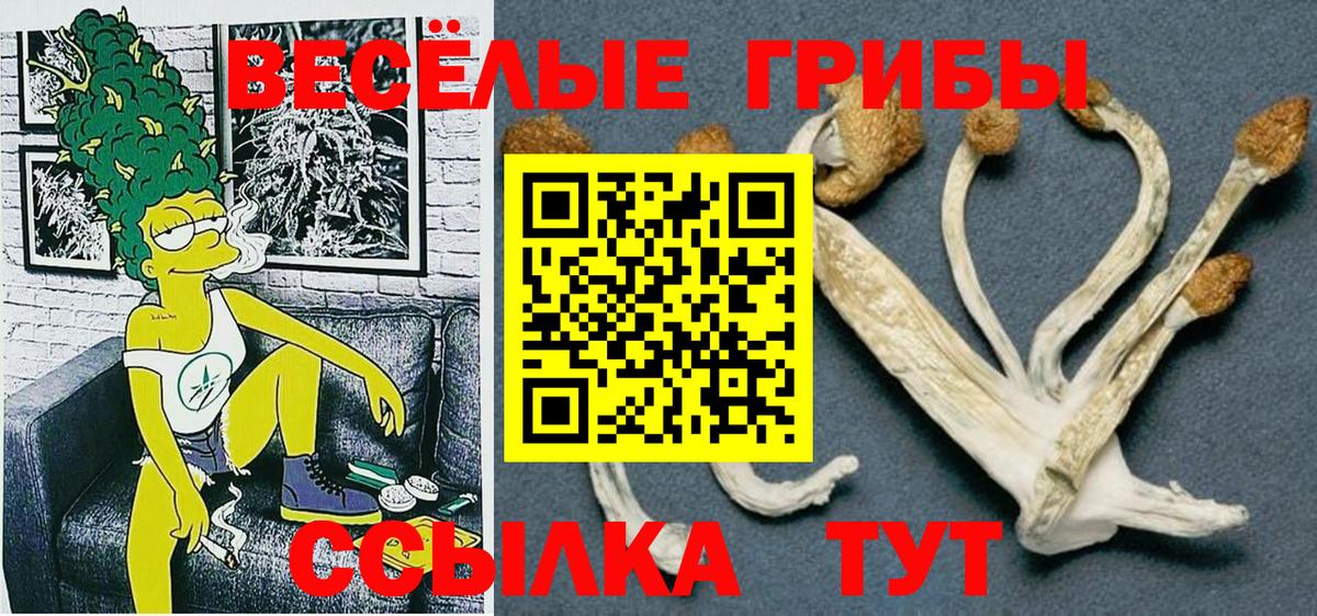 Галлюциногенные грибы GOLDEN TEACHER Отрадное